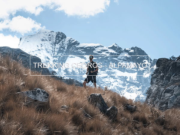 Andean Peaks